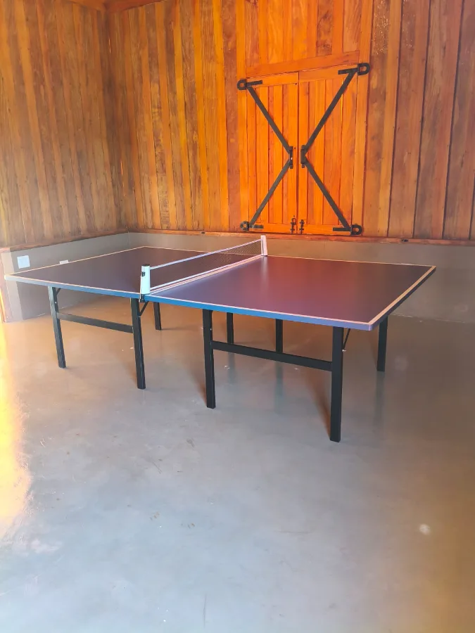 Tênis de Mesa — Ping-Pong — foto 3